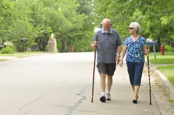 Walking_with_walking_sticks.jpg